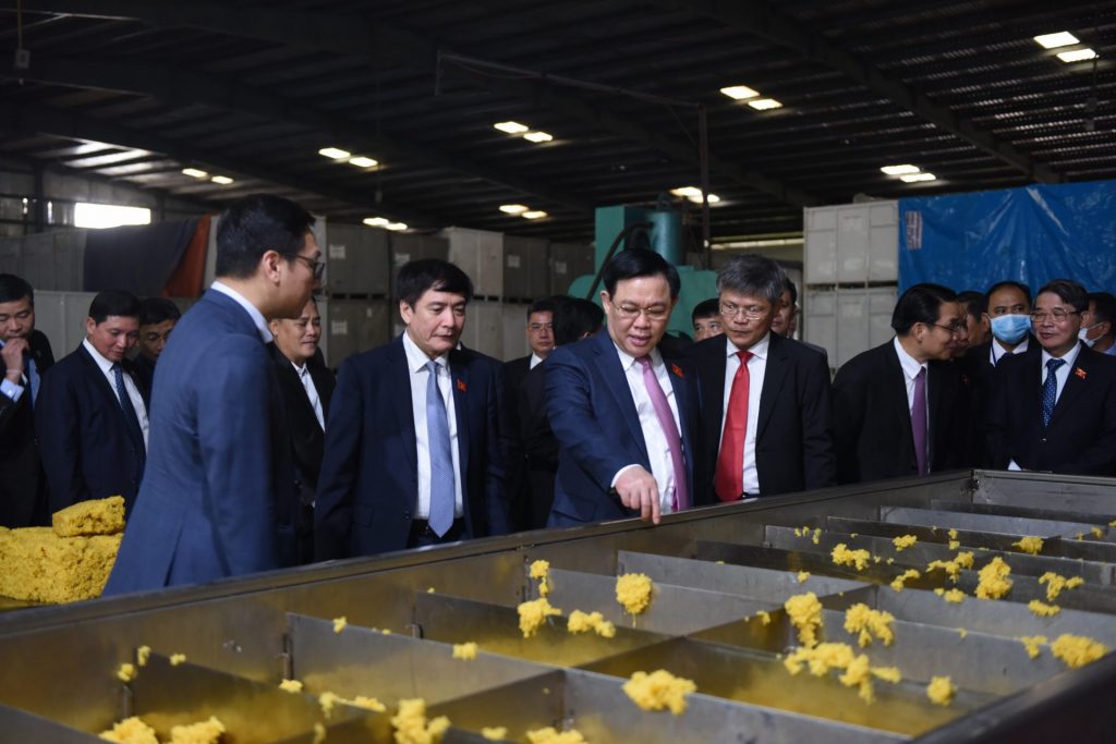 Hành trình phát triển cao su ở Lào, Campuchia: thắt chặt tình đoàn kết, hữu nghị keo sơn